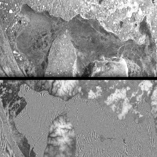 "The upper part shows a regular SAR-image from ESA's ERS-satellites for an area in the Yamal peninsula in northern Russia. The image shows an area with low terrain relief on land, and also a frozen ocean area. The lower image is an interferogram of the same are. On land the terrain relief can be easily seen. The ocean area in the SAR-image shows little information on the frozen ocean area, while in the interferogram ice floes can be easily distinguished, with relatively clear borders. Because these ice floes have been movin a few centimeters vertically with respect to each other, the resulting phase differences clearly show the outlines of the floes".